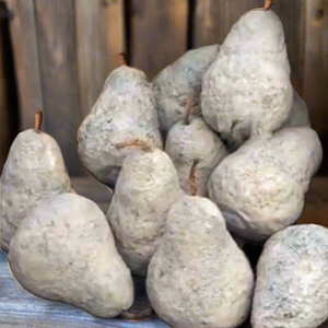 Rustic Cement Pears - 3 Asstd