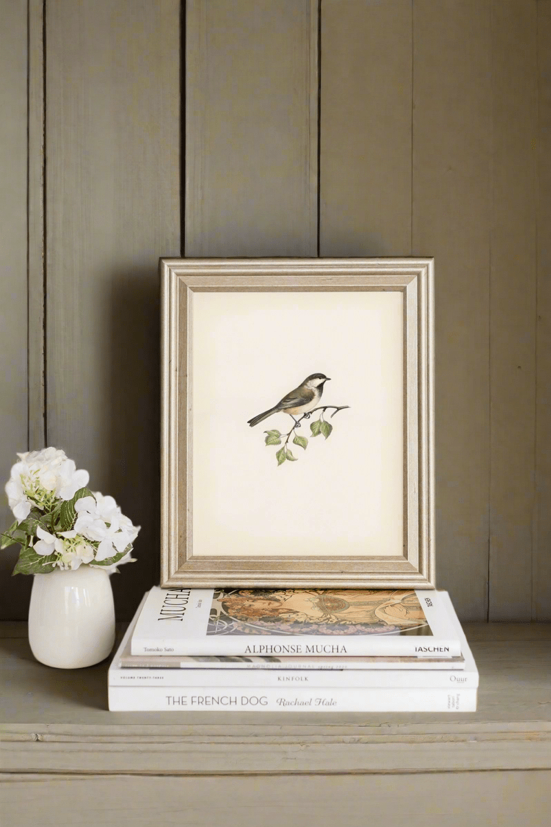 Vintage Bird Art Print