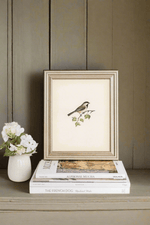 Vintage Bird Art Print