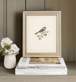 Vintage Bird Art Print