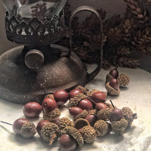 Acorns Bowl Filler