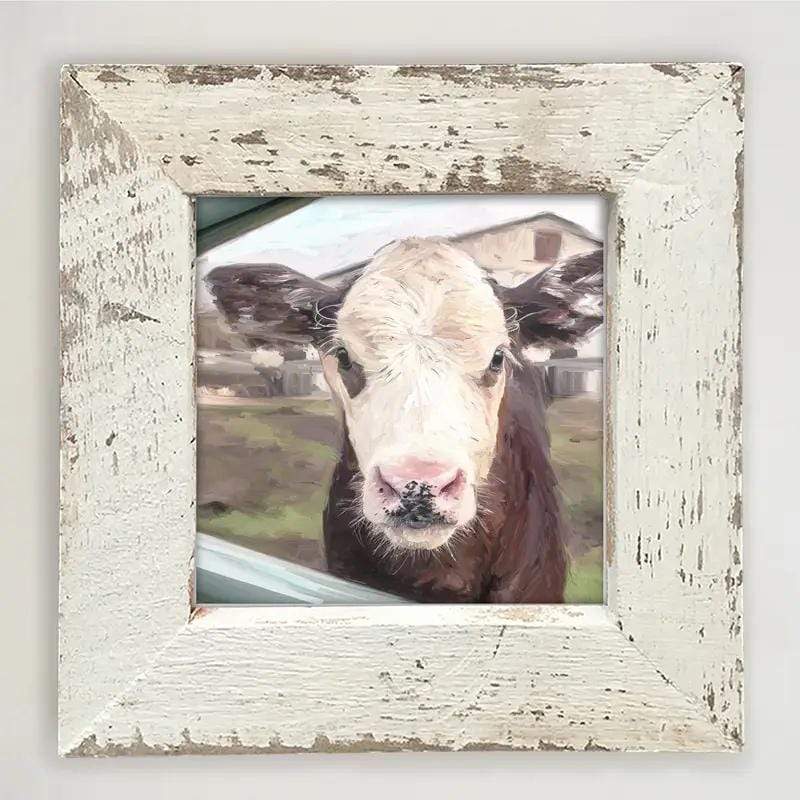 Barnwood Framed Wall Art - Sweet Baby Cow