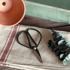 Vintage Style Pruning Shears