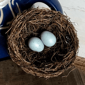 Twig Nest with Eggs