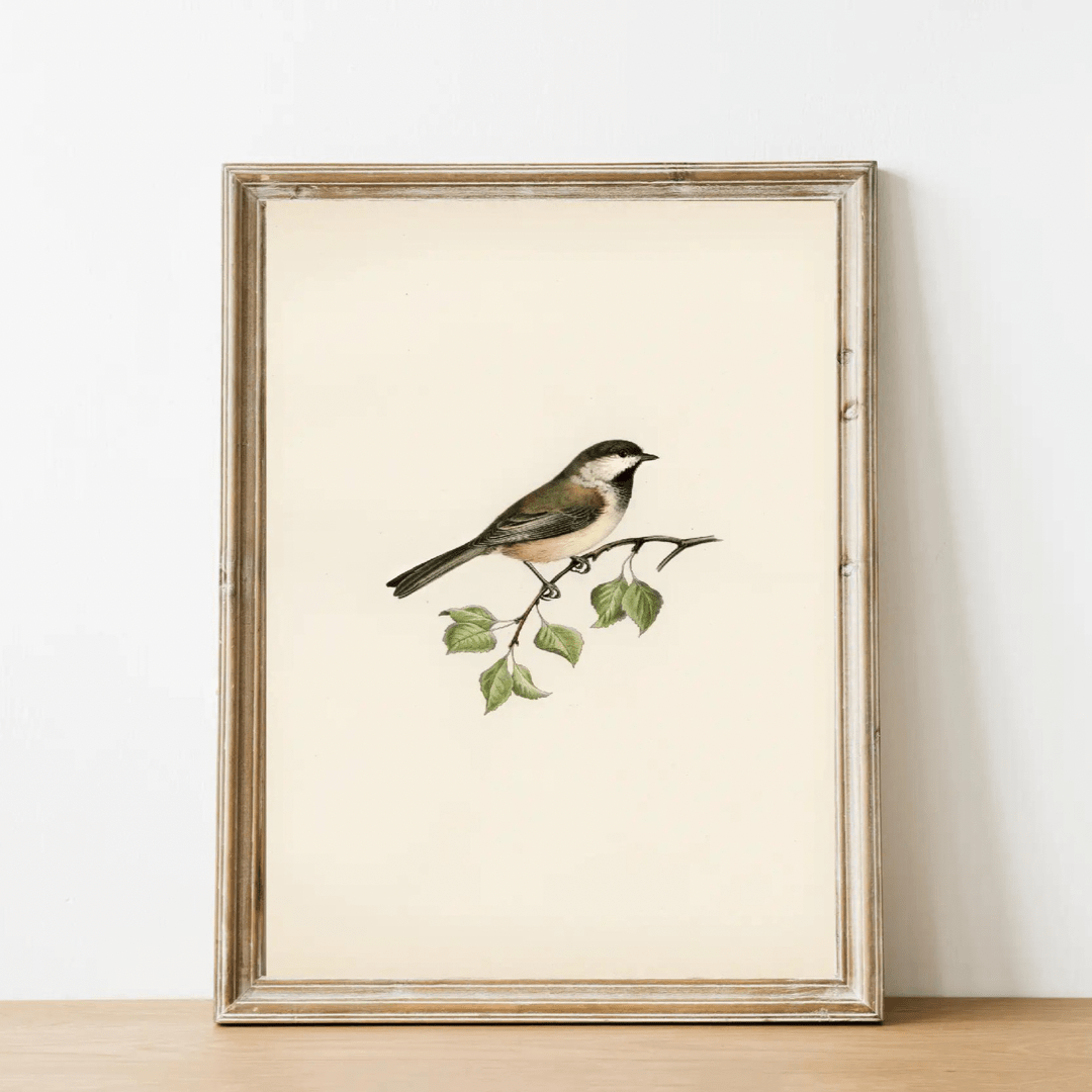 Vintage Bird Art Print